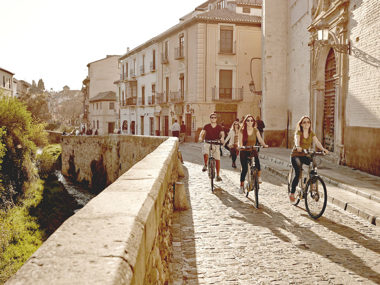 Esplora Granada su una bicicletta elettrica con Pl